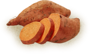 yam